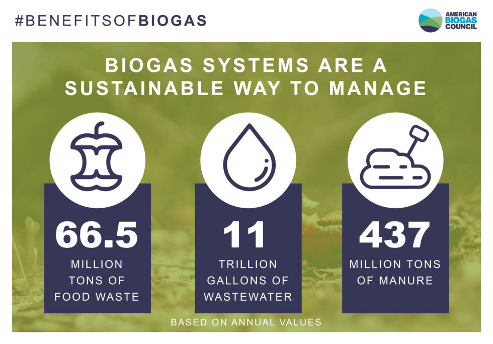 essay on biogas